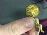 Callistosporium luteo-olivaceum image