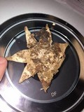 Geastrum triplex image