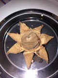 Geastrum triplex image