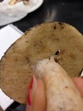 Boletus pallidus image