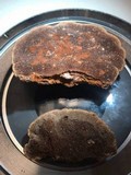 Phellinus gilvus image