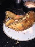 Tylopilus balloui image