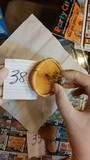 Lactarius yazooensis image