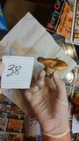 Lactarius yazooensis image