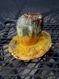 Cyanoboletus rainisiae image