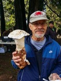 Amanita smithiana image