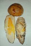 Cortinarius crassus image