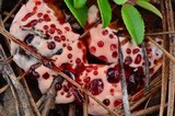 Hydnellum peckii image