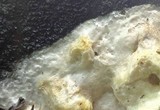 Gyrodontium sacchari image
