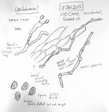 Clavaria fumosa image