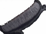 Leptogium gelatinosum image