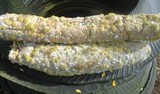 Rhizopus stolonifer image
