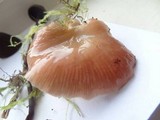 Pleurotopsis longinqua image
