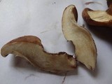Tapinella atrotomentosa image