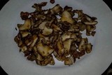 Pluteus petasatus image