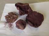 Calvatia cyathiformis image
