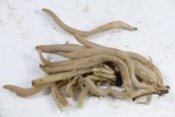 Clavaria fumosa image
