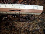 Phylacia poculiformis image