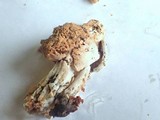 Hypomyces cervinigenus image