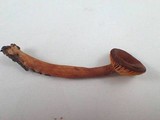 Lactarius atrobadius image