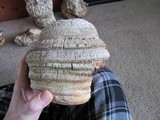 Fomitopsis officinalis image
