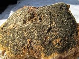 Fomitopsis officinalis image