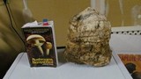 Fomitopsis officinalis image
