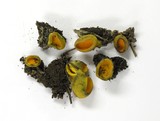 Caloscypha fulgens image