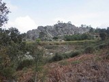 Miriquidica deusta image