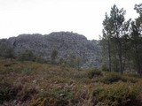Miriquidica deusta image