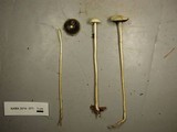 Stropharia semigloboides image