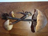 Macrocystidia cucumis image