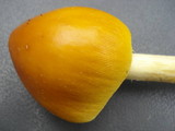 Amanita banningiana image