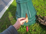 Morchella importuna image