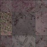Caloplaca flavescens image