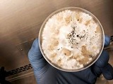 Pestalotiopsis microspora image
