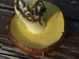 Suillus brevipes image