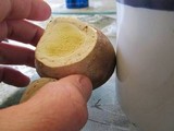 Lycoperdon subcretaceum image
