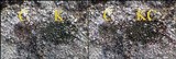 Lecidea fuscoatra image