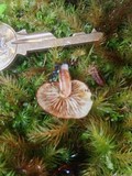 Pholiota peleae image