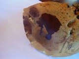 Boletus subtomentosus image
