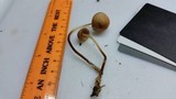 Marasmius cohaerens image