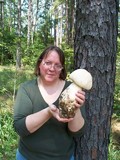 Amanita ravenelii image