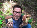 Boletus rex-veris image
