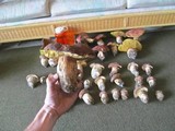 Boletus rex-veris image