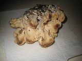 Meripilus giganteus image