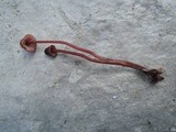 Mycena sanguinolenta image