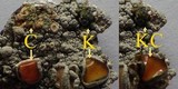 Ochrolechia tartarea image