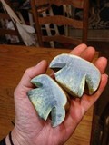 Boletus rubripes image