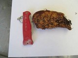 Sarcodon fennicus image